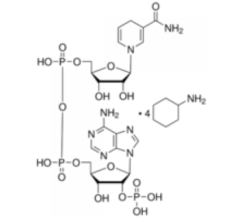 -Никотинамидадениндинуклеотидфосфат, восстановленная соль тетра (циклогексиламмония) 95% Sigma N5130