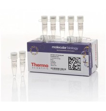 Набор для безлигазного клонирования aLICator LIC Cloning and Expression Kit 3, Thermo FS